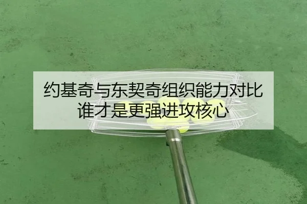 约基奇与东契奇组织能力对比 谁才是更强进攻核心